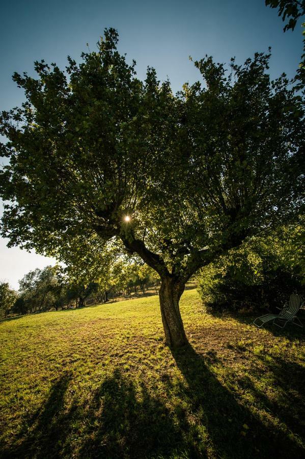 Podere Belvedere Tuscany Βίλα Pontassieve Εξωτερικό φωτογραφία